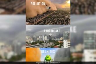 Delhi ిల్లీ-ఎన్‌సిఆర్ స్పార్క్స్ పోటి ఫెస్ట్‌లో బలమైన భూకంపం