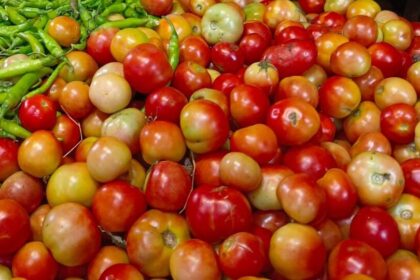 టమాటా ధరల పతనంపై పతనంపై చర్యలు చర్యలు చర్యలు చర్యలు మార్కెటింగ్ మార్కెటింగ్ ఆధ్వర్యంలో టమాటా టమాటా కొనుగోళ్లకు కొనుగోళ్లకు కొనుగోళ్లకు- మార్కెటింగ్ విభాగం కింద టమోటా సేకరణ కోసం టమోటా ధరల ఆర్డర్‌లను తగ్గించడంపై ప్రభుత్వం చర్యలు తీసుకుంటుంది, ఆంధ్ర.