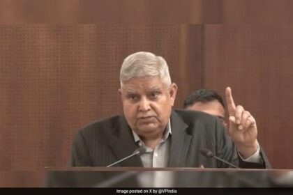 "రాజకీయ కోవిడ్ ప్రజాస్వామ్యాన్ని నాశనం చేయడానికి సమాజంలోకి చొరబడింది": ఉపాధ్యక్షుడు