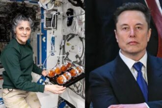 9 నెలల స్పేస్ బస తర్వాత సునీటా విలియమ్స్ తిరిగి రావడం గురించి ఎలోన్ మస్క్ ఏమి చెప్పారు