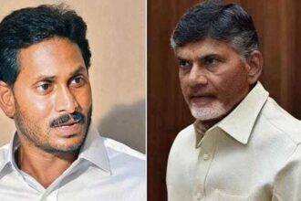AP మద్యం కుంభకోణం: లిక్కర్ కొనుగోళ్లలో కొనుగోళ్లలో ఉచ్చు ఉచ్చు, వైసీపీ ముఖ్య నేతలే అసలు టార్గెట్ టార్గెట్ .. బెయిల్ పిటిషన్ దాఖలు చేసిన చేసిన mp