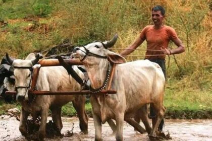 AP రైతులు: రైతుల‌కు 50 శాతం రాయితీతో వ్య‌వ‌సాయ‌ వ్య‌వ‌సాయ‌ యంత్రాలు .. ద‌ర‌ఖాస్తు విధానం విధానం ద‌ర‌ఖాస్తు ద‌ర‌ఖాస్తు
