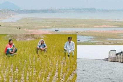 కరీమ్నగర్: జలాశయాల్లో తగ్గుతున్న తగ్గుతున్న - ఎండుతున్న ఎండుతున్న ...!
