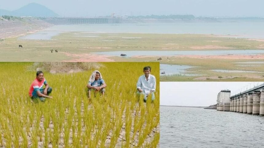 కరీమ్నగర్: జలాశయాల్లో తగ్గుతున్న తగ్గుతున్న - ఎండుతున్న ఎండుతున్న ...!