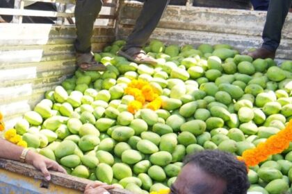 టన్ను టన్ను .1.1.22 లక్షలు ...! 'బంగినపల్లి' మామిడికి మామిడికి రికార్డు ధర ...!