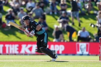 టిమ్ సీఫెర్ట్ బ్లిట్జ్ న్యూజిలాండ్ క్రష్ పాకిస్తాన్ టు సీల్ టి 20 ఐ సిరీస్ 4-1