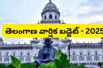 తెలంగాణ బడ్జెట్ 2025: తెలంగాణ వార్షిక బడ్జెట్ - శాఖలవారీగా శాఖలవారీగా శాఖలవారీగా