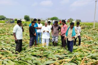 పంటల నష్టాన్ని సీఎం దృష్టికి తీసుకెళ్తా తీసుకెళ్తా: పట్టభద్రుల ఎమ్మెల్సీ జీవన్ రెడ్డి రెడ్డి
