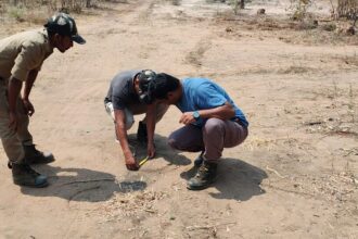 భూపాలపల్లి ఏజెన్సీ ఏరియాలో టెన్షన్ టెన్షన్.. పులుల సంచారంతో వణికిపోతున్న జనాలు-people are panicking due to the presence of tigers in the bhupalpally agency area ,తెలంగాణ న్యూస్