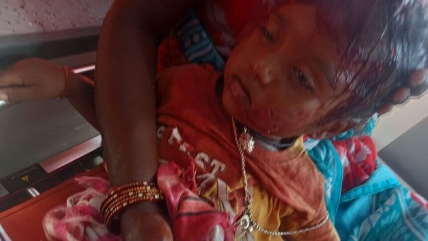 మహబూబాబాద్ జిల్లాలో దారుణం ..