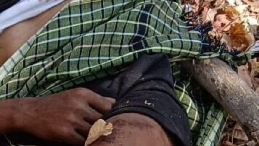 ములుగు జిల్లా: ములుగు ఏజెన్సీలో పేలిన ప్రెషర్ బాంబ్ బాంబ్