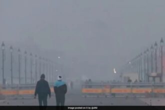 Delhi ిల్లీ ప్రభుత్వం కాలుష్య నియంత్రణ చర్యలను కఠినతరం చేస్తుంది, EV పుష్ ప్రకటించింది