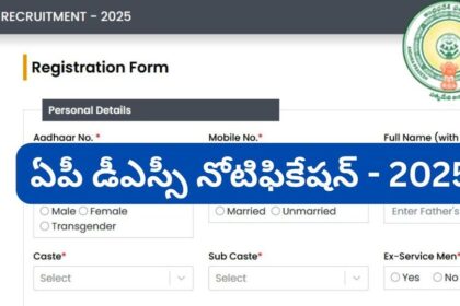 ఏపీ డీఎస్సీ దరఖాస్తు దరఖాస్తు ప్రక్రియలో ..? ఈ నెంబర్లను