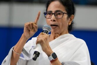 "దీదీ యొక్క ination హ దక్షిణ ఆసియాను పునర్నిర్మించింది": బిజెపి మమాటా బెనర్జీని అపహాస్యం చేసింది