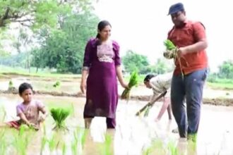 మెడక్ కలెక్టర్: ఐఏఎస్‌లకు ఆదర్శం ఆదర్శం మన మెదక్ కలెక్టర్ రాహుల్ రాజ్ .. కారణాలు కారణాలు కారణాలు కారణాలు