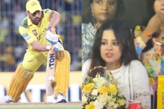 'లాస్ట్ మ్యాచ్': ఎంఎస్ ధోని రిటైర్మెంట్ పుకారు మధ్య, ఇంటర్నెట్ జివాతో సాక్షి సంభాషణను ulates హించాడు