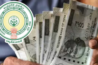 వితంతు పెన్షనర్లకు గుడ్‌ గుడ్‌ న్యూస్‌ .. కొత్తగా 90 వేల పెన్షన్లకు అనుమతి అనుమతి .. మరోవైపు అప్కోస్‌ కుటుంబాల కుటుంబాల ఎదురు ఎదురు ..