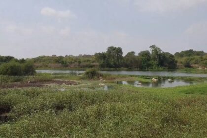 విద్యార్థులు, పర్యావరణవేత్తలు ఎందుకు నిరసన తెలిపారు