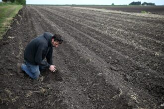 UK రైతులు 1852 నుండి పొడిగా ఉన్న వసంతకాల మధ్య వర్షం కోసం ప్రార్థిస్తారు