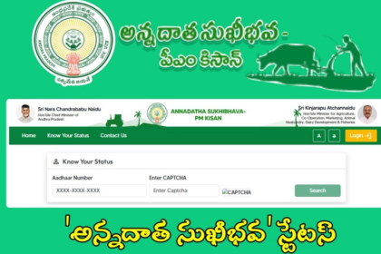 అన్నదాత సుఖీభవ పథకానికి మీరు మీరు? ఫోన్ లో స్టేటస్ ఇలా చెక్ చేసుకోండి