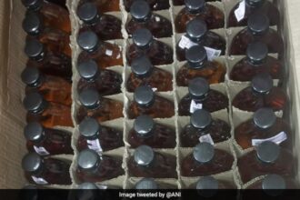 అమృత్సర్లో విషపూరిత మద్యం తిన్నట్లు ఆరోపణలు వచ్చిన తరువాత 17 మంది చనిపోతారు