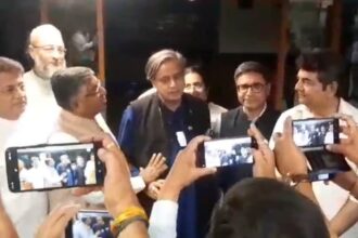 ఏ పార్లమెంటు ప్యానెల్ గురించి వర్గాలు చెప్పబడ్డాయి