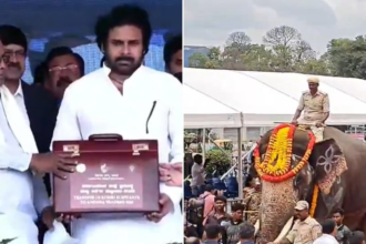 ఏపీకి ఆరు కుంకీ కుంకీ ఏనుగులు కర్ణాటక ప్రభుత్వం ప్రభుత్వం, పవన్ కల్యాణ్ సమక్షంలో అందజేత అందజేత