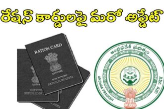 ఏపీలో కొత్త రేషన్ రేషన్ కార్డులపై మరో అప్డేట్, పెండింగ్ పెండింగ్ అప్లికేషన్లపై కీలక- నిర్ణయం- మే 15 నుంచి వాట్సాప్ లో దరఖాస్తులు లో