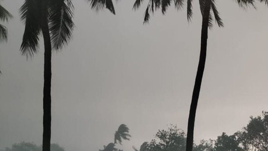 ఏపీలోని పలు జిల్లాల్లో ఈదురుగాలులతో కూడిన భారీ వర్షం వర్షం