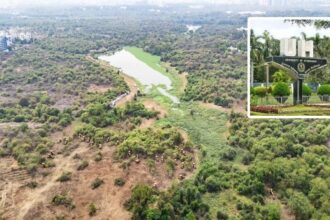 కంచె గచ్చిబౌలి భూములపై ​​భూములపై ​​సుప్రీం కోర్టు ఘాటు వ్యాఖ్యలు .. పర్యావరణ పర్యావరణ అనుమతులపై స్పష్టత ఇవ్వాలని ఇవ్వాలని ఇవ్వాలని ..