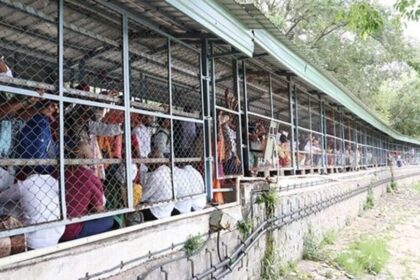 తిరుమలలో భక్తుల భక్తుల - నిండిపోయిన నిండిపోయిన కంపార్టుమెంట్లు- భారీ భక్తులు తిరుమాలా టెంపుల్ టిటిడి నవీకరణల వద్ద పరుగెత్తండి ఇక్కడ తనిఖీ చేయండి, ఆంధ్ర ప్రదేశ్ న్యూస్