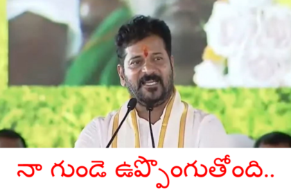 నల్లమల బిడ్డగా ఈ గడ్డపై గడ్డపై నుంచి .. నా నా గుండె గుండె ఉప్పొంగుతోంది: రేవంత్