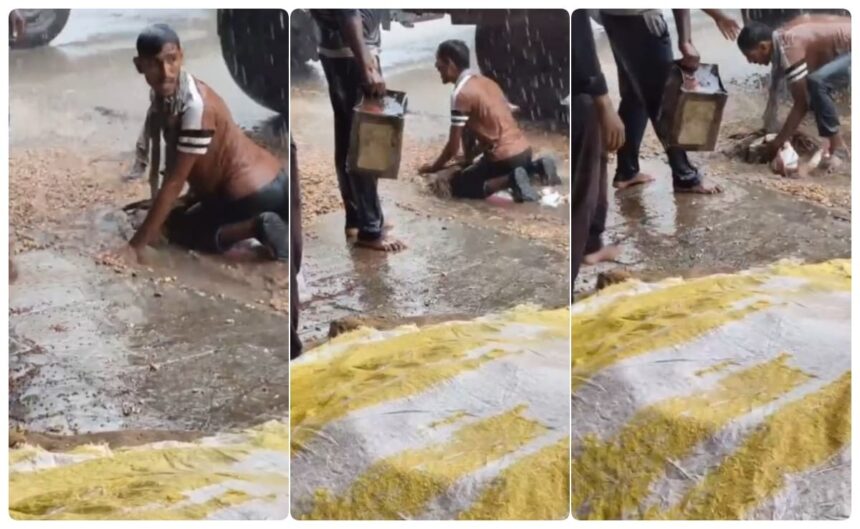 వర్షం మధ్య పంటను కాపాడటానికి రైతు తీరని ప్రయత్నం, అప్పుడు కేంద్ర మంత్రి శివరాజ్ చౌహాన్ పిలుపు