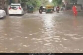 వాటర్ పార్క్ లేదా పబ్లిక్ పూల్? గురుగ్రామ్ నివాసితుల ఉల్లాసంగా వాటర్‌లాగింగ్