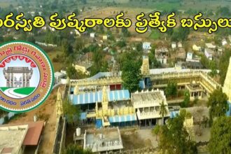 సరస్వతి పుష్కరాలు- హైదరాబాద్ హైదరాబాద్ నుంచి ఆర్టీసీ ప్రత్యేక సర్వీసులు, 40 మంది ఉంటే కాలనీలకే బస్సులు బస్సులు