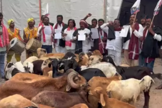 గాంధీభవన్ లో గొర్రెలతో గొర్రెలతో - ముద్రా న్యూస్