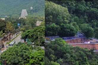 తిరుమలకు తిరుమలకు ....? టీటీడీ ఇచ్చిన ఈ 'అలర్ట్'