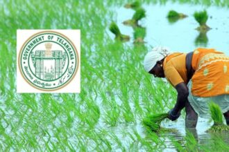 తెలంగాణ రైతులకు అలర్ట్ - ఈసారి ఈసారి ముందుగానే 'రైతు భరోసా' డబ్బులు ..!