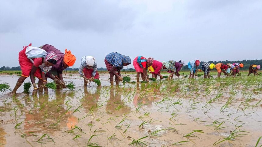 వారం ముందే దేశవ్యాప్తంగా విస్తరించనున్న విస్తరించనున్న