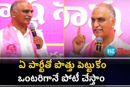 వీడియో: 'ఎవరో చెప్పినట్లు చెప్పినట్లు ఏ పార్టీతో పెట్టుకోం' - హరీశ్ రావ్ కీలక వ్యాఖ్యలు కీలక