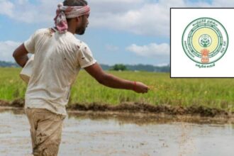 ఏపీ రైతులకు ఆగస్టు ఆగస్టు నుంచి పట్టాదారు పట్టాదారు పాసుపుస్తకాల పంపిణీ