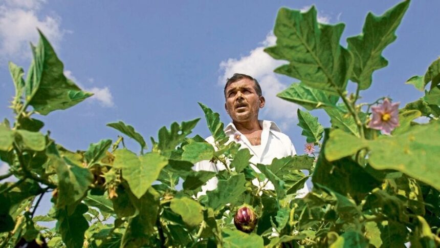 కేంద్ర కేబినెట్ కీలక నిర్ణయం; 'పీఎం ధన-దాన్య కృషి యోజన'కు- క్యాబినెట్ 24 వేల కోట్ల రూపాయల వ్యవసాయ క్షేత్రాలను గ్రీన్ ఎనర్జీలో పెట్టుబడులను నొక్కి చెబుతుంది,