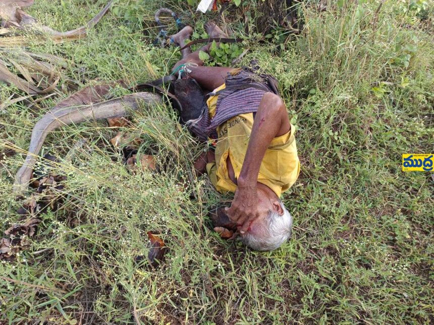తాటి చెట్టు పైనుండి పడి గీత కార్మికుడు మృతి మృతి