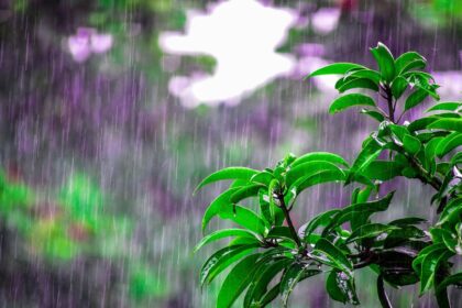 తెలంగాణలో మరికొన్ని రోజులు వర్షాలు .. ఆ ఆ తేదీల్లో ఎక్కువ!