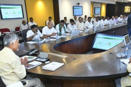 పంటల వివరాలపై సమగ్రంగా 'శాటిలైట్ శాటిలైట్' - సీఎం చంద్రబాబు ఆదేశాలు చంద్రబాబు