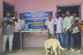 పెంపుడు జంతువులకు విధిగా టీకాలు టీకాలు