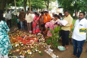 భక్తిశ్రద్ధలతో నాగుల పంచమి పంచమి - ముద్రా న్యూస్