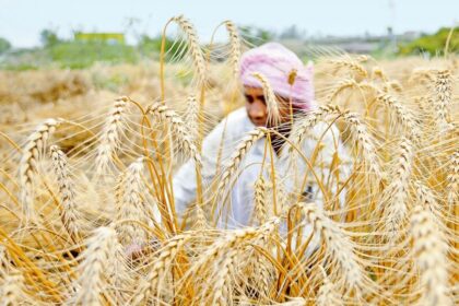 రైతుల ఖాతాల్లో పీఎం పీఎం 20 వ వ డబ్బులు పడే పడే తేదీ తేదీ ఇతర, ఇతర ఇతర ..