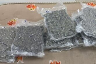 . 12 కోట్లు విలువ చేసే విదేశీ గంజాయి పట్టివేత - శంషాబాద్ శంషాబాద్ ఎయిర్‌పోర్టులో మహిళ అరెస్ట్ ..!