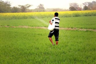 ఏపీ రైతాంగానికి శుభవార్త - అదనంగా అదనంగా యూరియా సరఫరా, రబీకి 9 లక్షల మెట్రిక్ టన్నులు సిద్ధం ..!